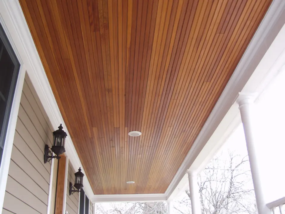 Roof Design Options